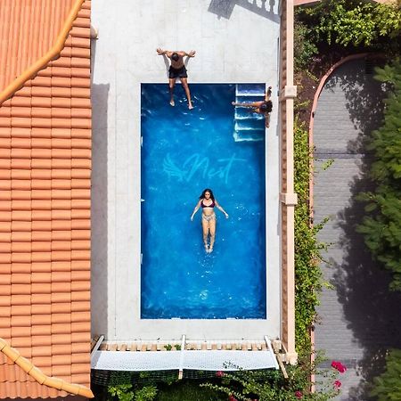 Duque Nest Hostel Costa Adeje  ภายนอก รูปภาพ