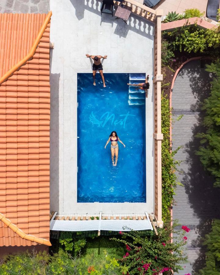 Duque Nest Hostel Costa Adeje  ภายนอก รูปภาพ